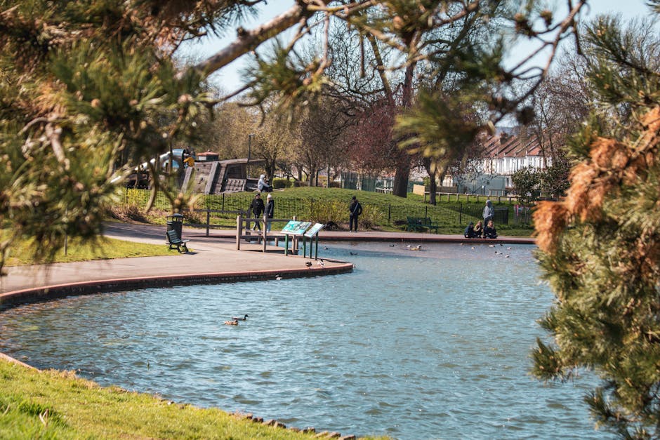 A tranquil park scene viewed through the green branches of a tree, displaying a pond with rippled water where two ducks swim. The pond is lined with a red paved walkway, with a bench situated near the